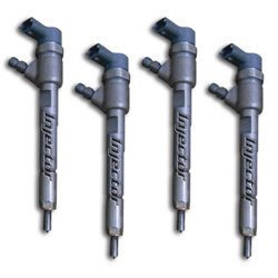 0445110231 BOSCH Injecteur occasion